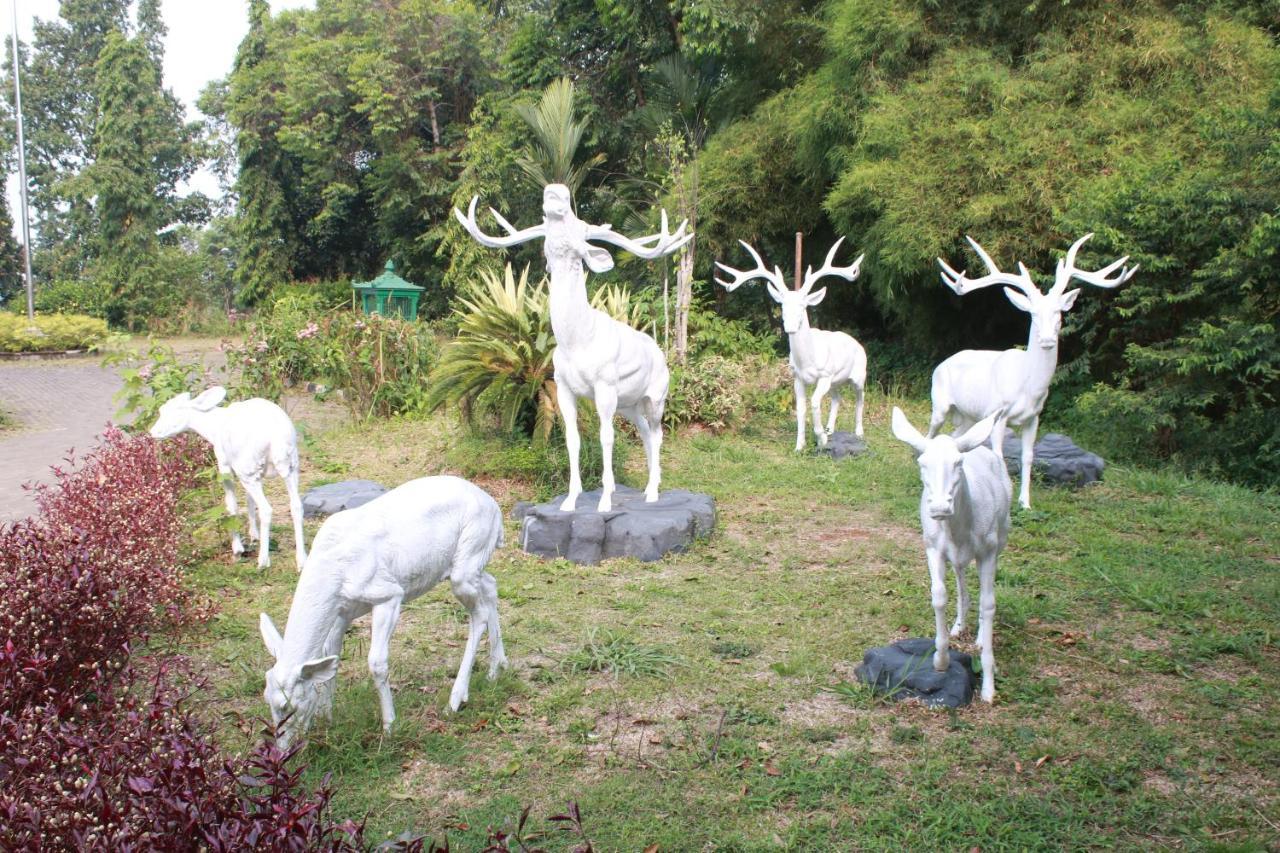 Hotel Adiroso Managed By Sahid 3*